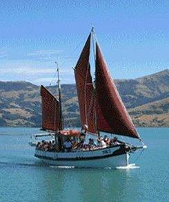 Fox Sailing