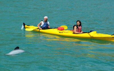 Akaroa Adventure Centre