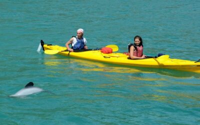 Akaroa Adventure Centre