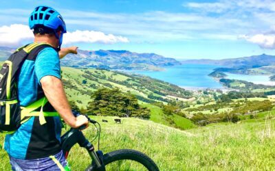 Akaroa E-Bike Safaris